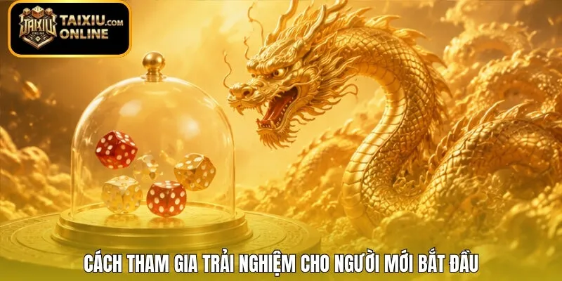 Cách tham gia trải nghiệm cho người mới bắt đầu 