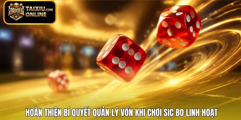 Hoàn thiện bí quyết quản lý vốn khi chơi Sic Bo linh hoạt